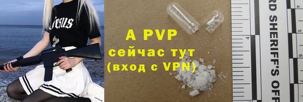 ГАЛЛЮЦИНОГЕННЫЕ ГРИБЫ Чердынь